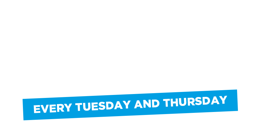 Bingo is Back
