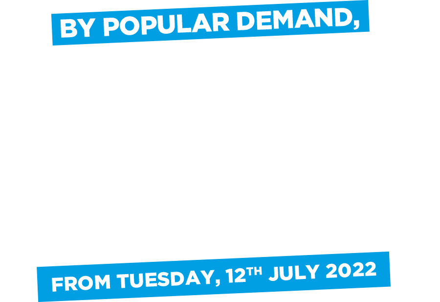 Bingo is Back